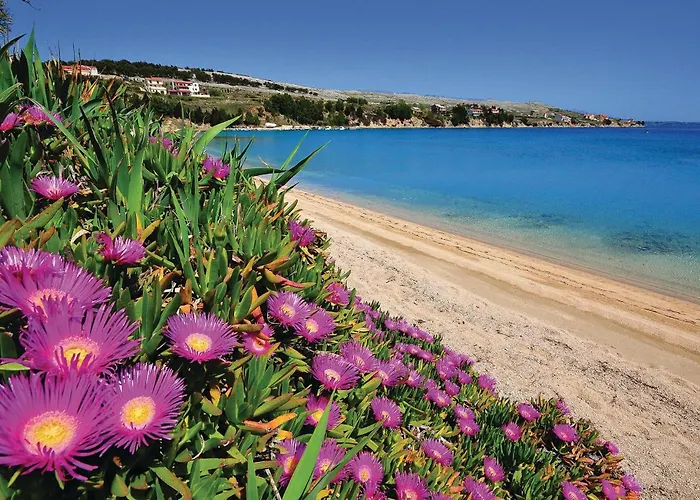 3 Bedroom In Miškovići