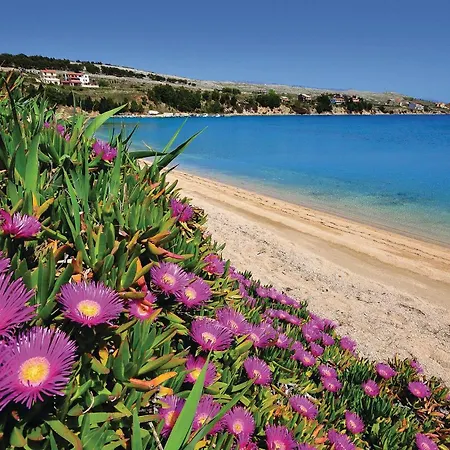 3 Bedroom In Miškovići